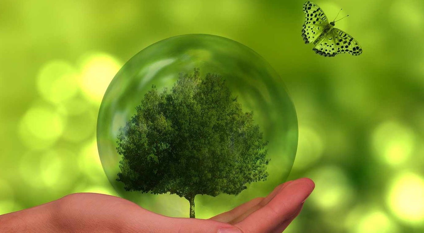 Umweltschutz bei SER